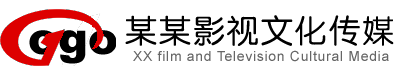 某某影视文化传媒